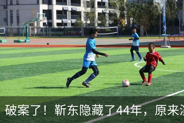 破案了！靳东隐藏了44年，原来演员只是“副业”，真是深藏不露